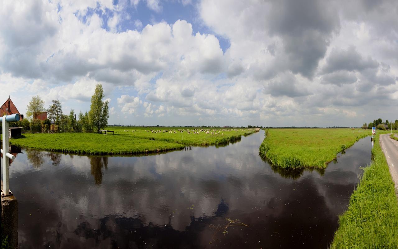 Amsterdam Farmland Amesterdão Exterior foto